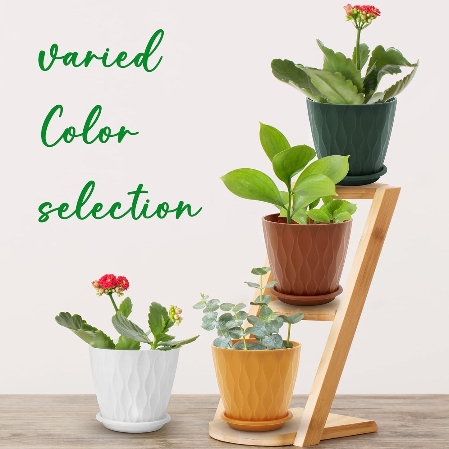 YNNICO 6 inch Plant Pots, 5 Pack Flower Pots Outdoor Indoor, Planters with Drainage Holes and Tray Saucers(Multicolor)
