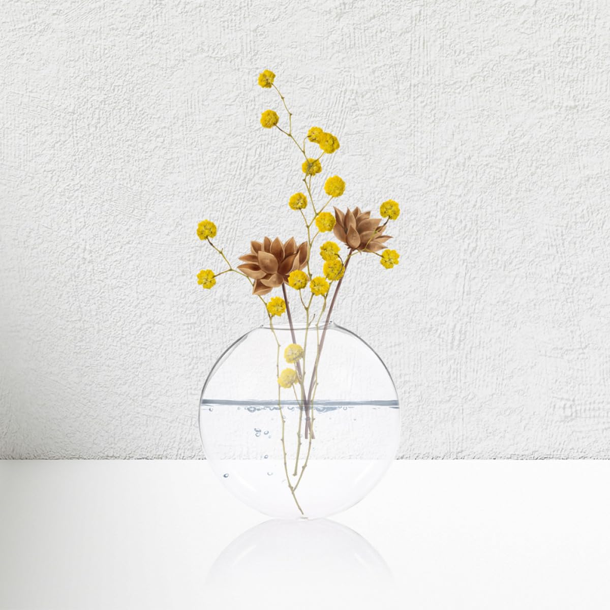 ULTECHNOVO 6pcs Wall Mounted Glass Flower Vases Hydroponic Planter Flat Glass Terrarium Pots for Home Décor and Indoor Plants