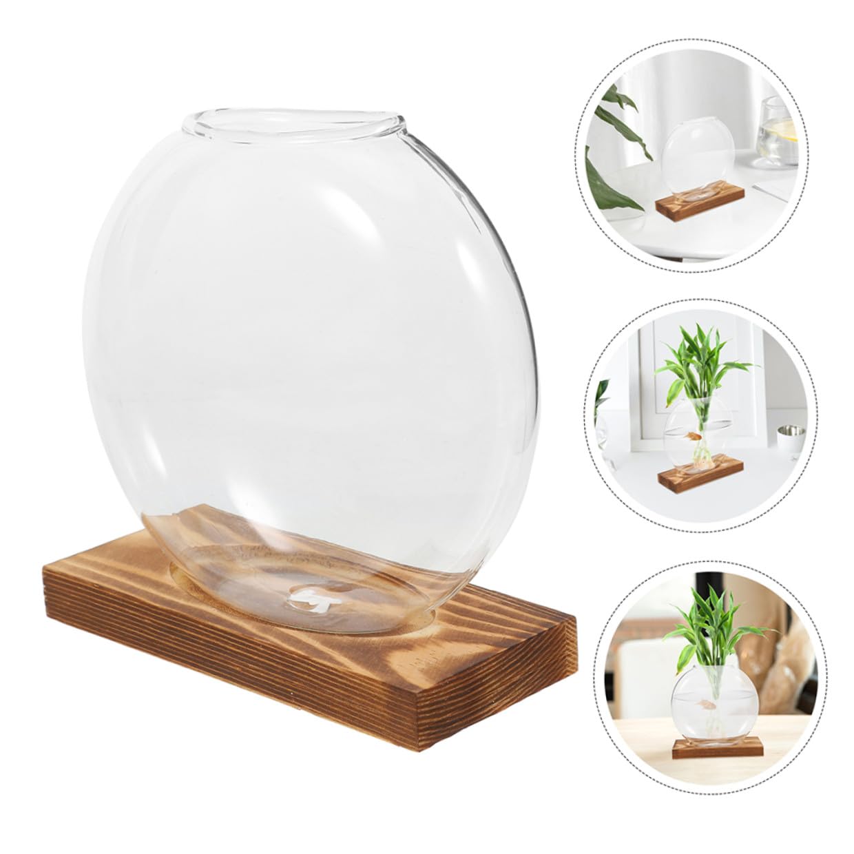 Ipetboom 2pcs Small Glass Propagation Vases with Wooden Base, Hydroponic Plant Terrariums for Home Office Desk, Glass Planter Suitable for Indoor Plant Cultivation