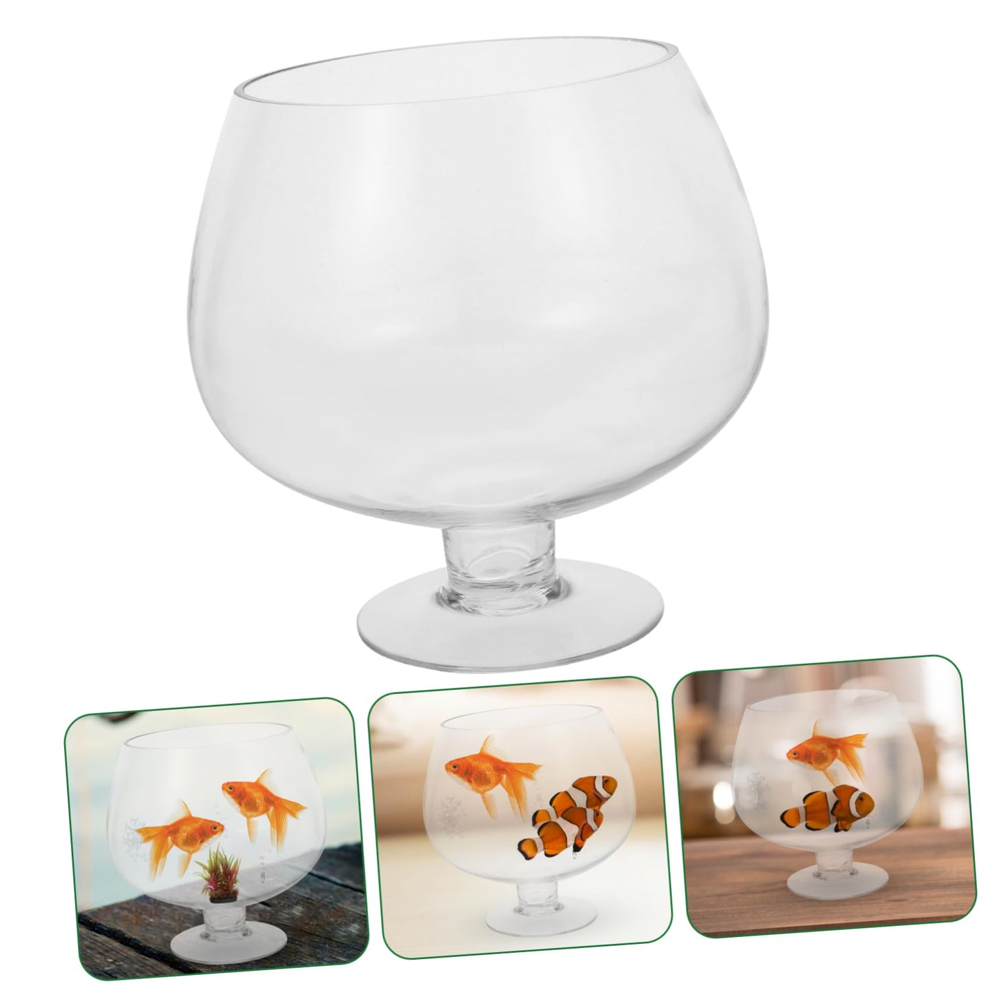 BESPORTBLE Clear Bubble Bowl, Glass Vase with Stand Fish Bowl Clear Planter Terrarium Globe Flower Vase Hydroponic Kitchen Table Centerpiece Footed Pedestal