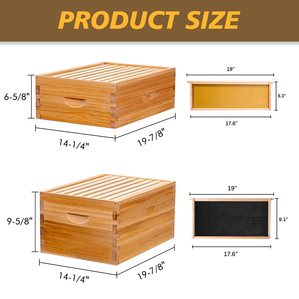 MayBee 8 Frame Screened Bottom Board Beehive Dipped in Original Beeswax, Bee Hives Kit Includes 1 Deep Box & 1 Medium Hive Box with Beehive Frames and Wax Coated Foundations