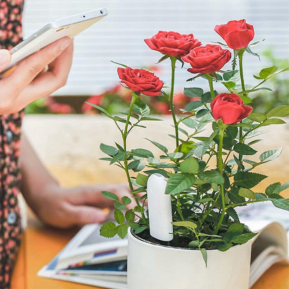 Soil Moisture Meter 4 in 1,Plant Water Monitor,Automatically detect Moisture/Temperature/Light/Fertility,Can Connect to Mobile Phone via Bluetooth,Hygrometer Sensor for Indoor Plants (3pc)