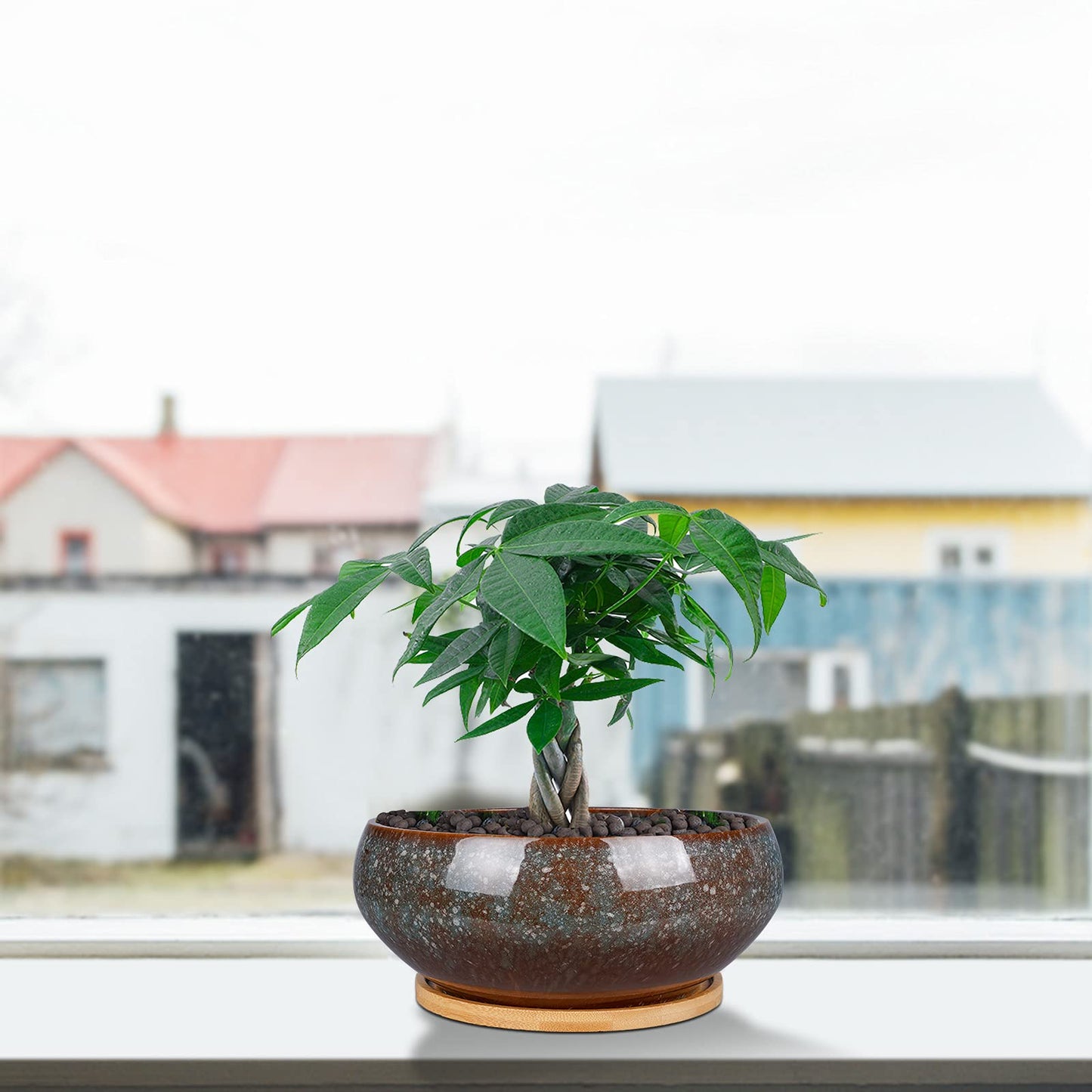 EPFamily 8 Inch Ceramic Bonsai Planter Pot, Glazed Shallow Succulent Planter with Drainage Hole and Bamboo Saucer for Indoor Plants, Green