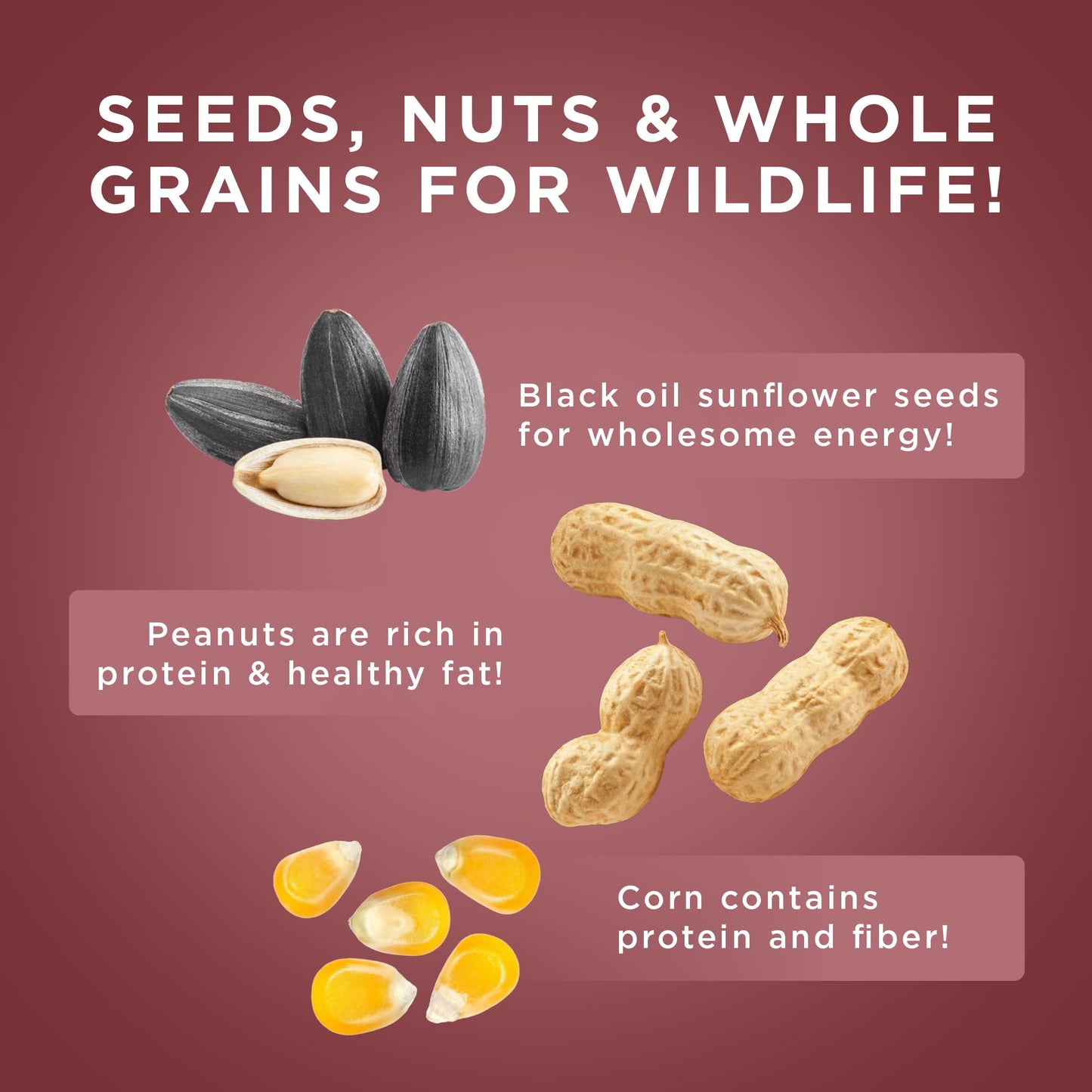 Audubon Park Squirrel & Critter Food, 15-lb. Bag