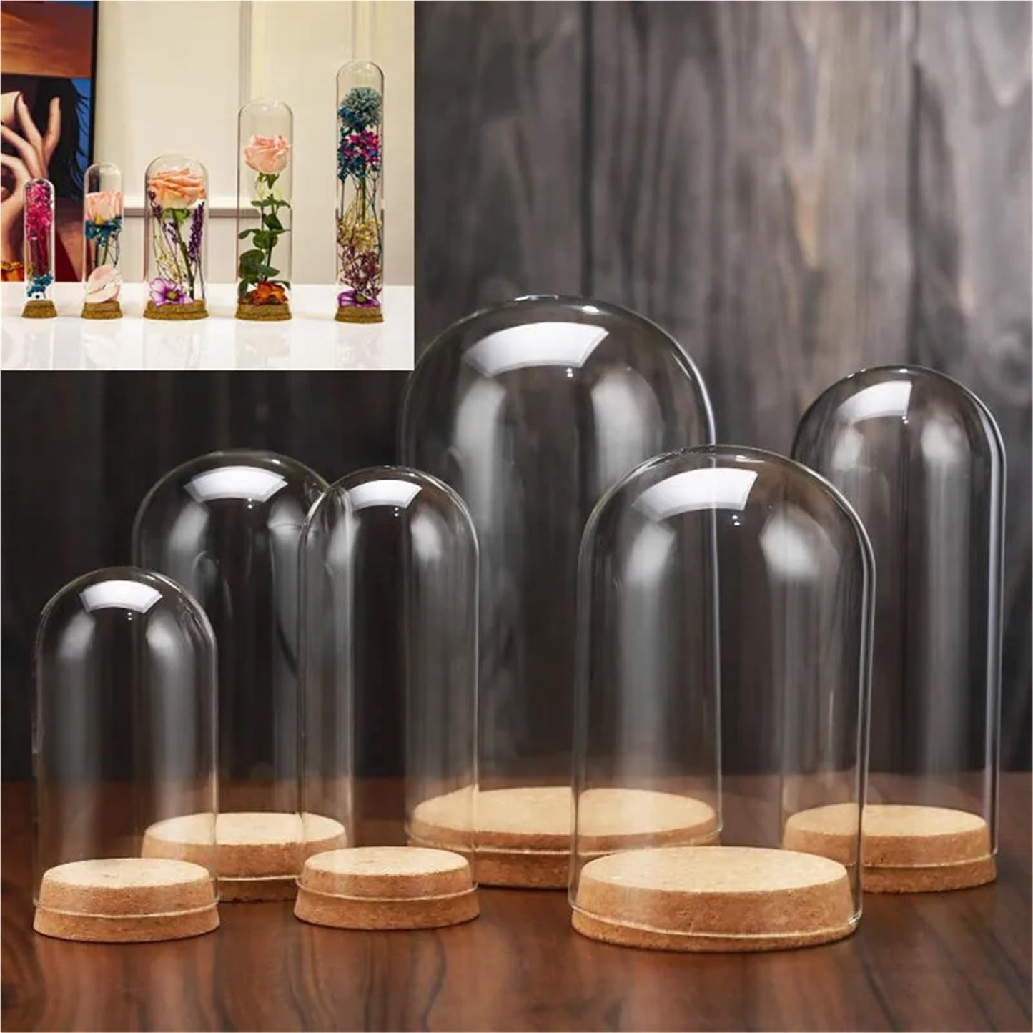 10X Da30mm Glass Bottle Terrarium Jar Cork Base Dome Dust Cover DIY Specimen Succulent Plant Micro Landscape Flower Vase Display(30x180cm)