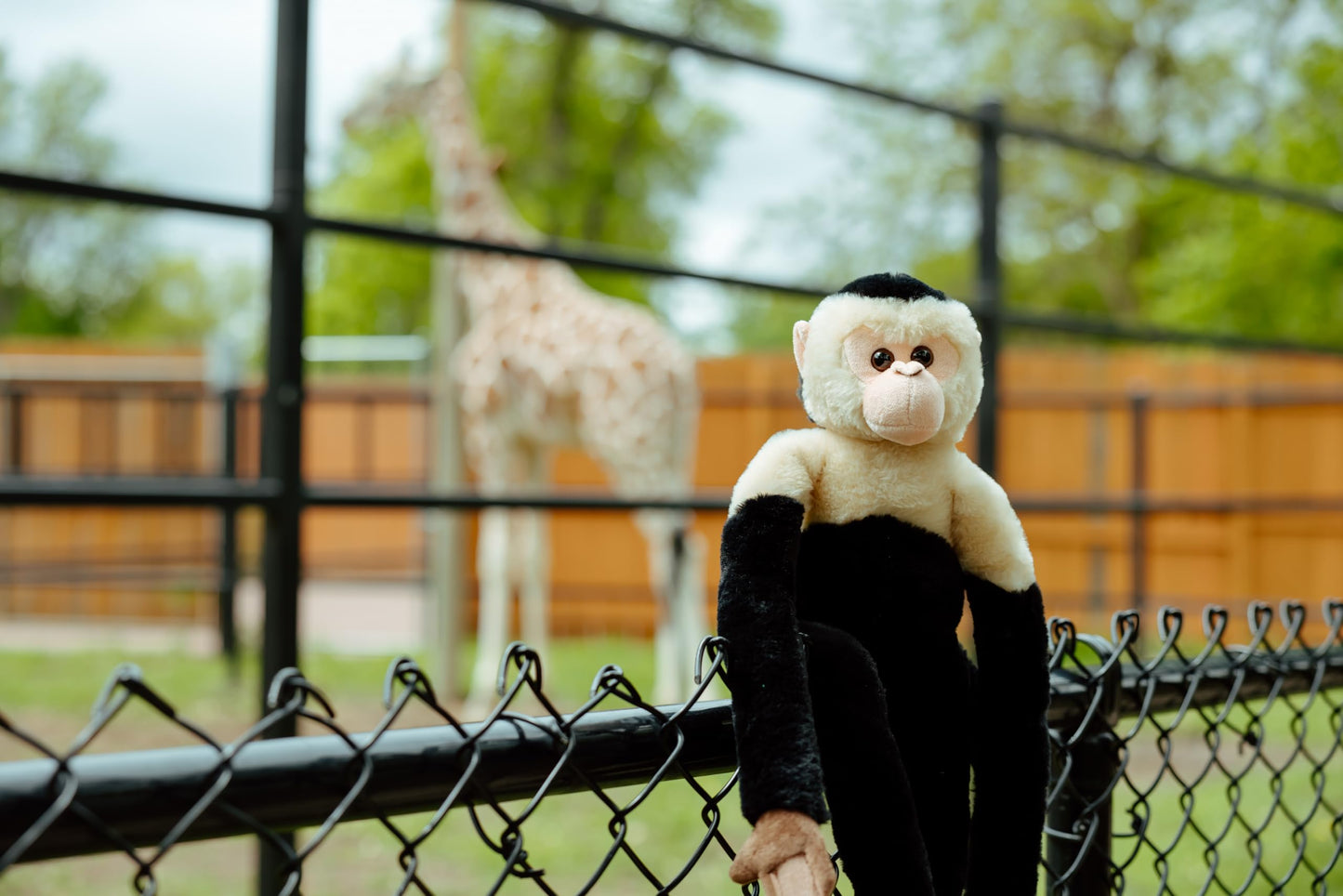 The Petting Zoo Hanging Capuchin Monkey Stuffed Animal Plushie, Gifts for Kids, Wildlife Animals, Monkey Plush Toy 20 Inches