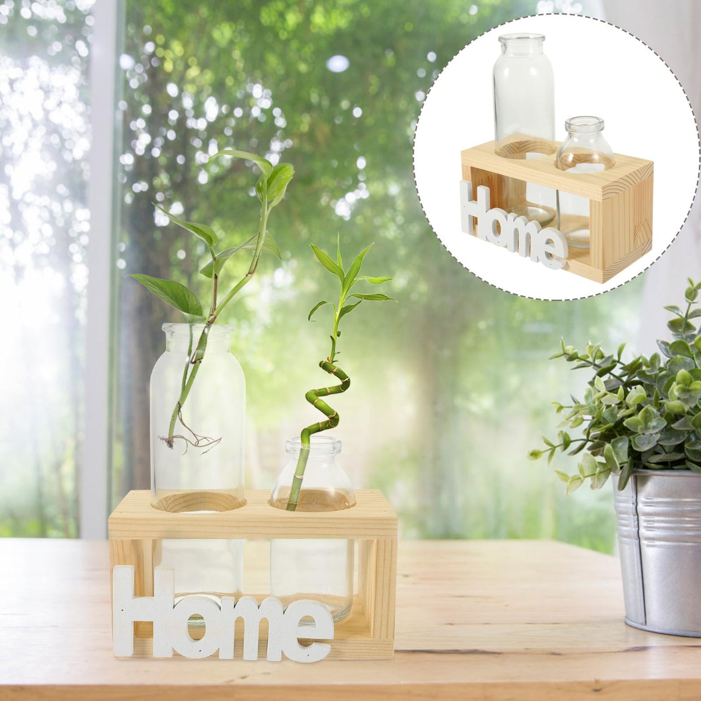 MAGICLULU Glass Vase for Indoor Plants and Hydroponic Garden, Nordic Style Bulb Planter with Natural Wood Frame, Desktop Terrarium Container Set of 2 for Home Décor and Plant Propagation