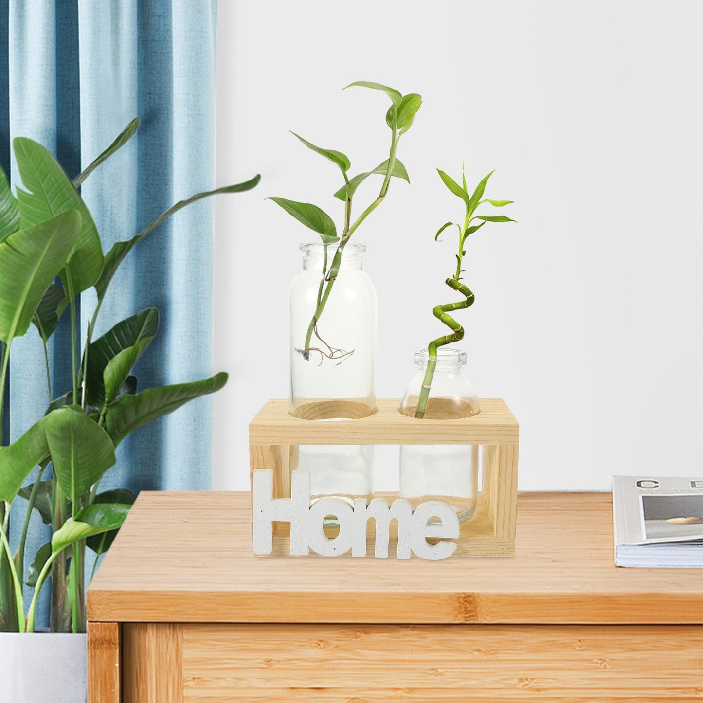 Garneck Nordic Style Hydroponic Glass Flower Vase Set with Wooden Rack, 2pcs Desktop Planter for Indoor Plants, Air Plant Terrarium, Creative Home Décor Centerpiece