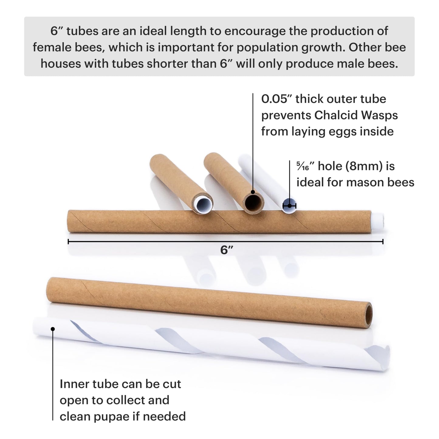 WHITEHORSE Premium Cedar Bee House - 6” Long Replaceable Tubes - Perfect for Mason Beekeeping - an Insect Hotel Built to Last - Support Bees While Pollinating Your Garden (Paper Tubes Included)