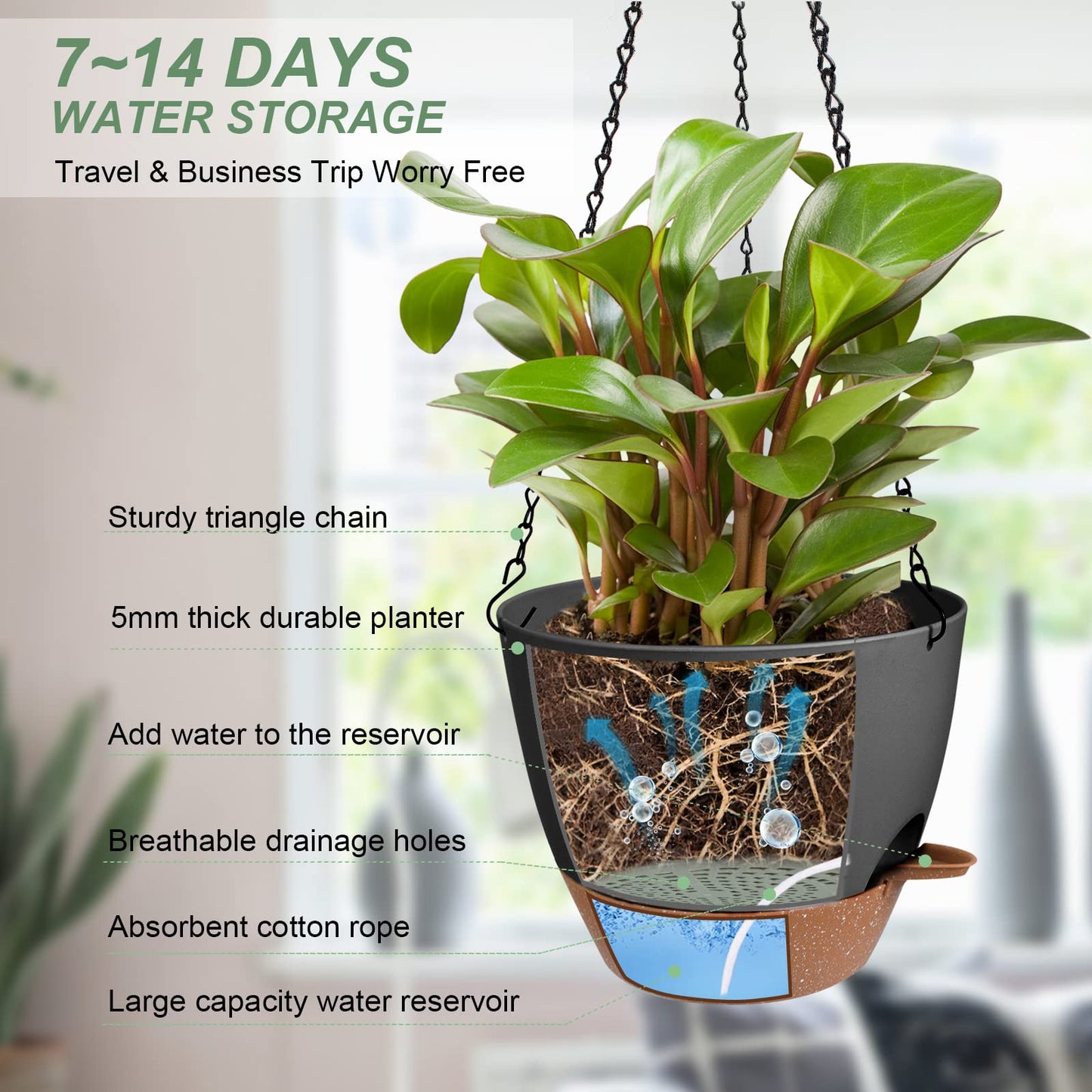 Vanslogreen Hanging Planters for Indoor Outdoor Plants, 2 Pack Self Watering Hanging Pot with Drainage Holes & Removable Tray (Black, 10'')
