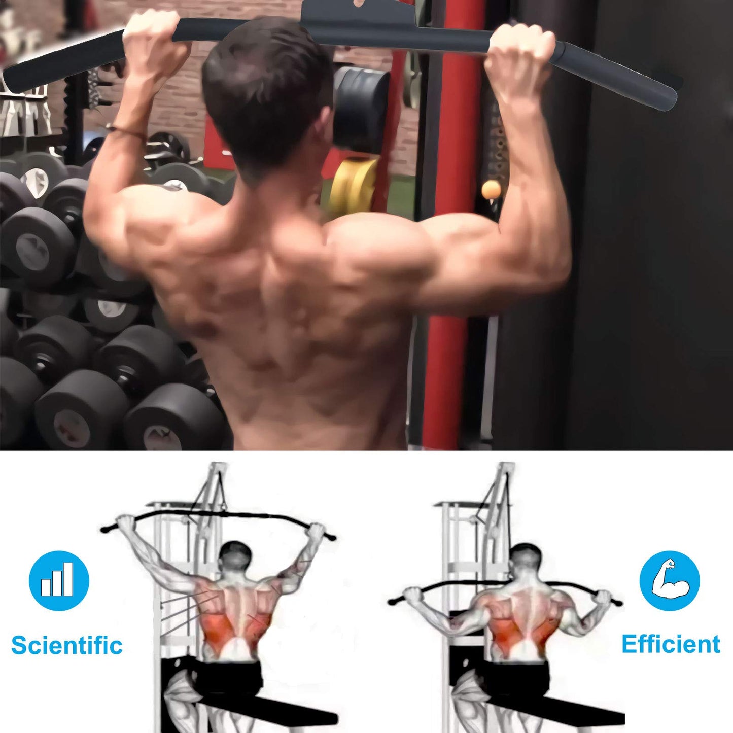 Lat Pulldown Attachments for Cable Machine, 29/39/ 48 Inch Wide Grip Lat Pull down Bar with Non-slip Handle, Lat Bar for Home Gym Tricep Training (Combo-1)