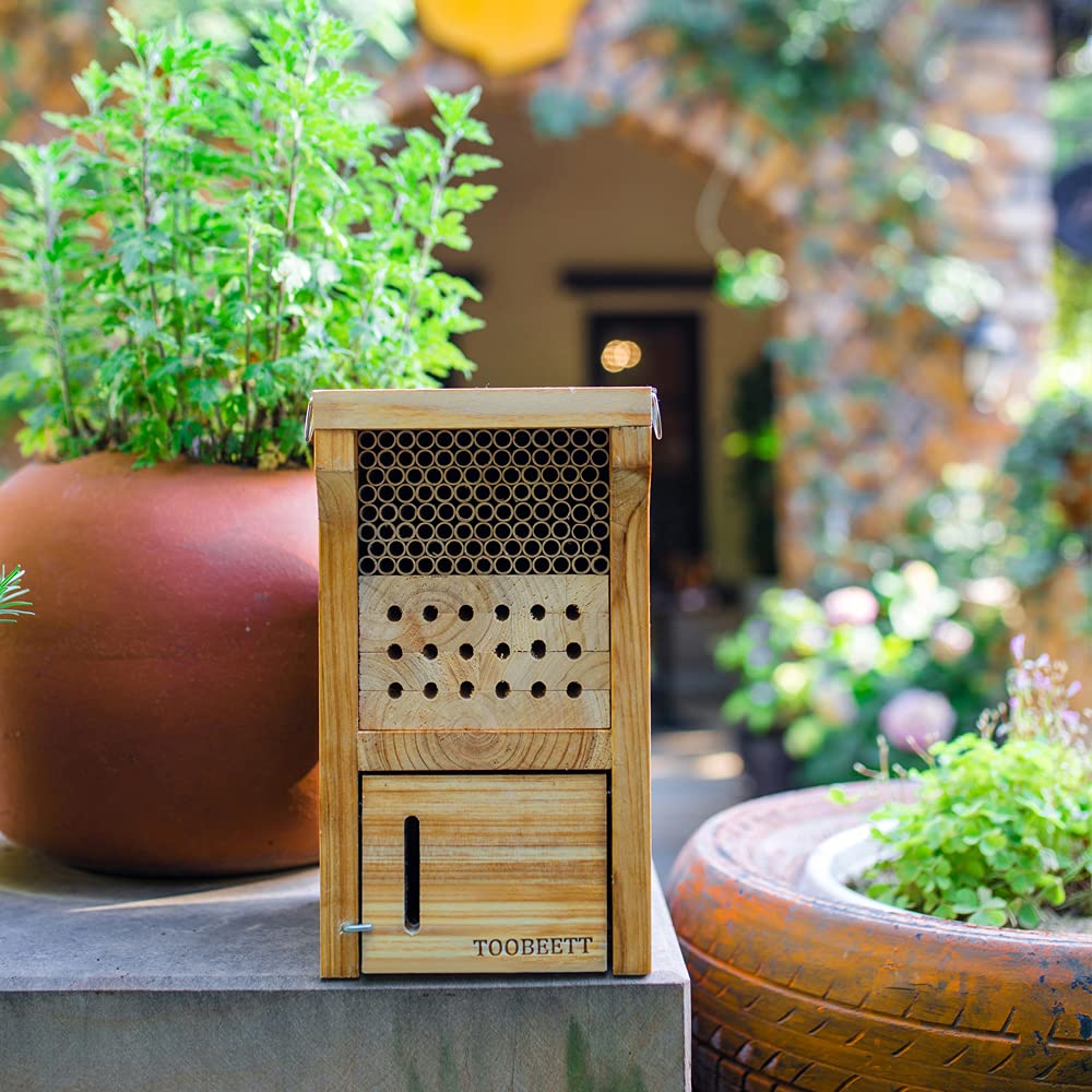 TOOBEETT Mason Bee House Wax Coated Mason Bee Hive Wooden Insect Hotel Carpenter Bee House for Outdoors Attracts Peaceful Bee Pollinators to Your Garden