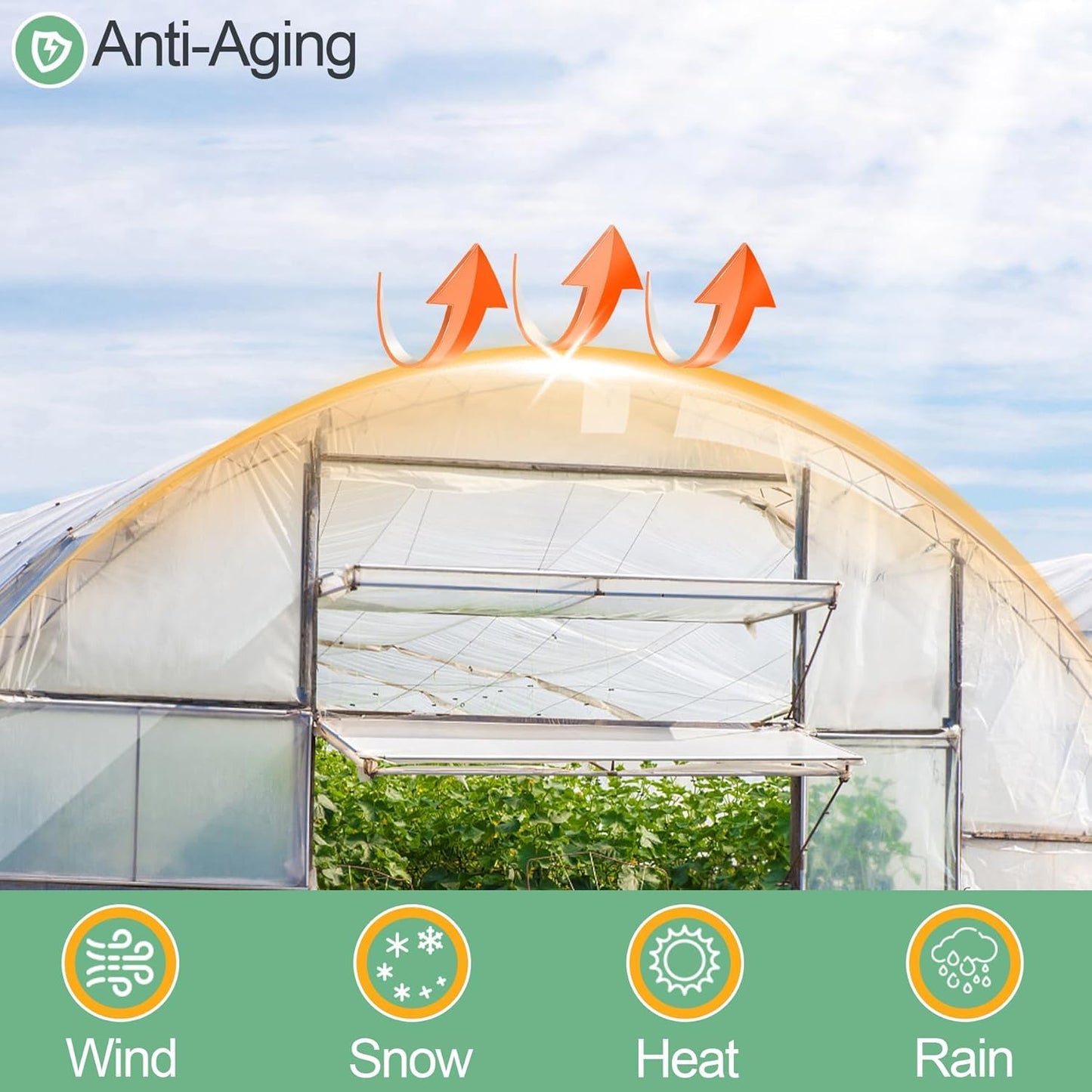 10 x 50 FT Clear Greenhouse Plastic Sheeting, 6 Mil Polyethylene Film Heavy Duty, Water Sun Frost Wind Dust Resistant Winter Hoop House Toughness Plastic Cover for Farming, Gardening, Agriculture, DIY