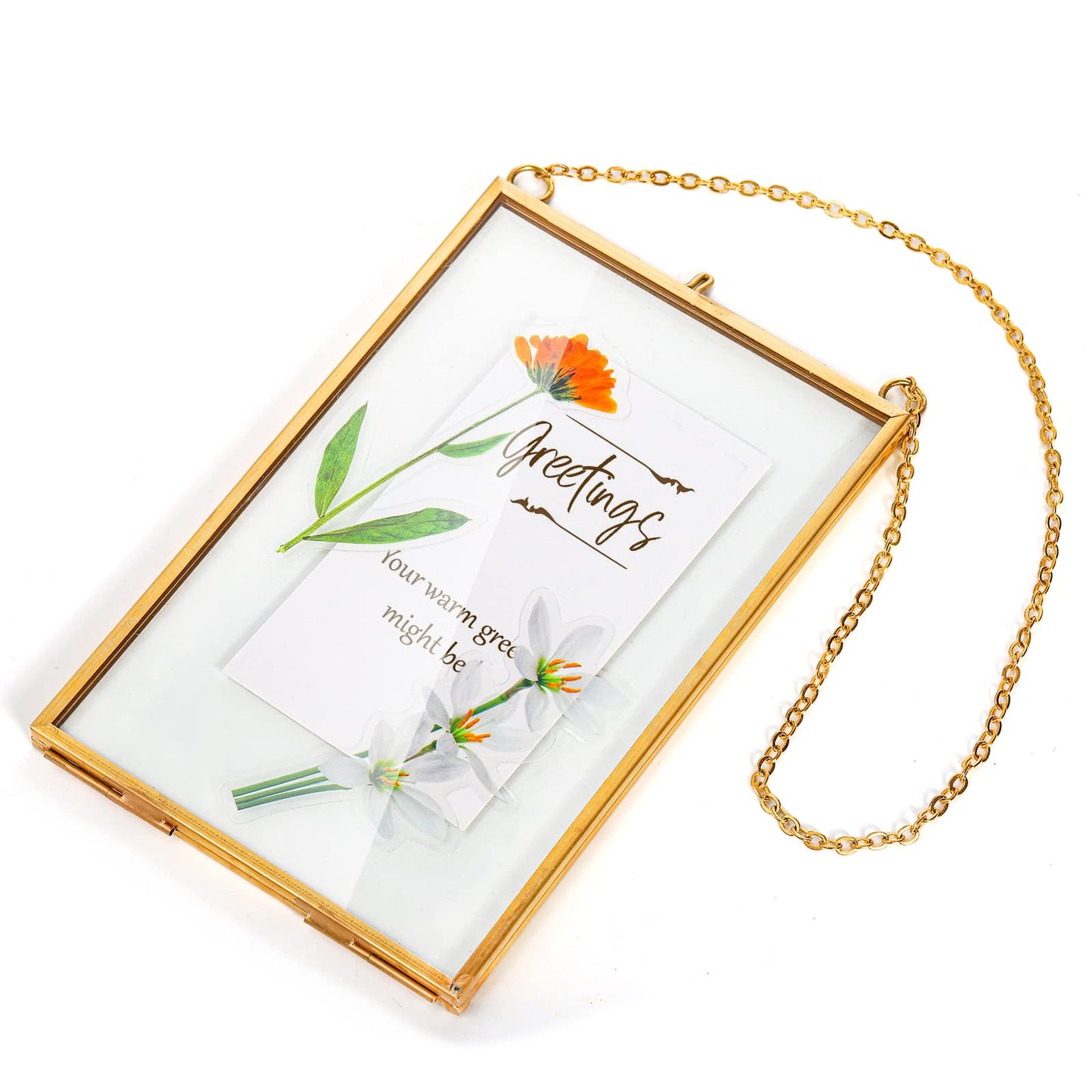 AVLA 3 Pack Pressed Flowers Glass Frames, Brass Hanging Picture Frames with Chain, Small Golden Floating Photo Frame, Clear DIY Artwork Display Frame for Wall Decor, Dried Plant Specimen