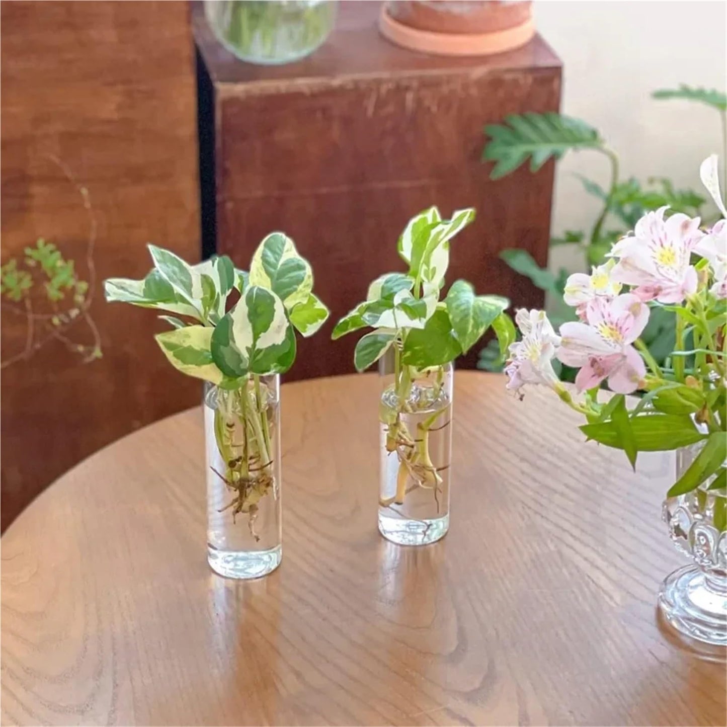 Glass Vase Vase 3Pack Wall Hanging Glass Planters Plant Terrarium Plants Holders Air Plants Wall Vase with Plastic Invisible Traceless Hangers(3Pcs Large)