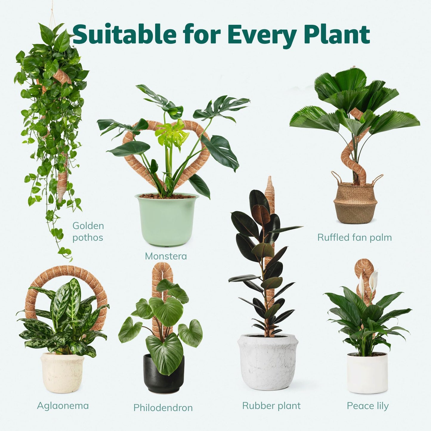 Vanut Moss Pole Monstera Plant Support, 28in Bendable & Sturdy Plant Holder Stick for Pothos Vines, Philodendron, Fishbone Cactus & Indoor Tropical Houseplants, Made for Coco Coir