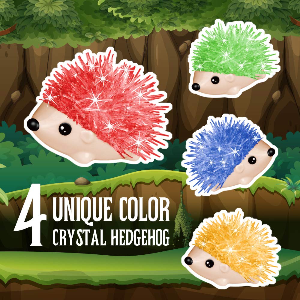 Crystal Growing Kit for Kids - 4 Vibrant Hedgehogs Fast Growing in 24H - STEM Science Kits for Kids Age 6-8 & 8-12, Educational DIY Learning Toys, Birthday Gifts for Boys & Girls Age 7, 8, 9, 10+