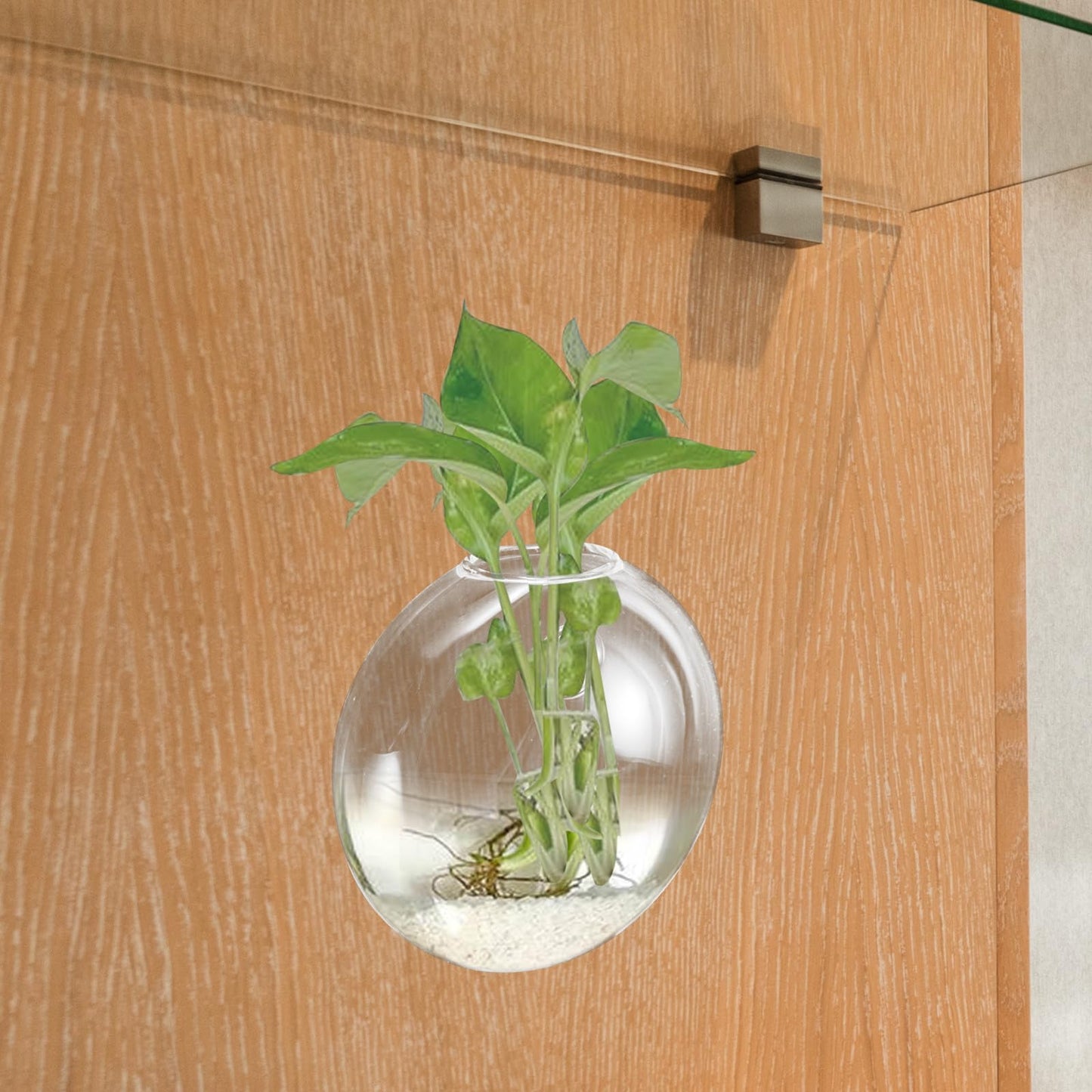 GRADENEVE Wall Hanging Glass Terrarium Planter Vase Hydroponic Flower Holder Glass Plant Bottle Decorative Home Décor for Indoor Use,