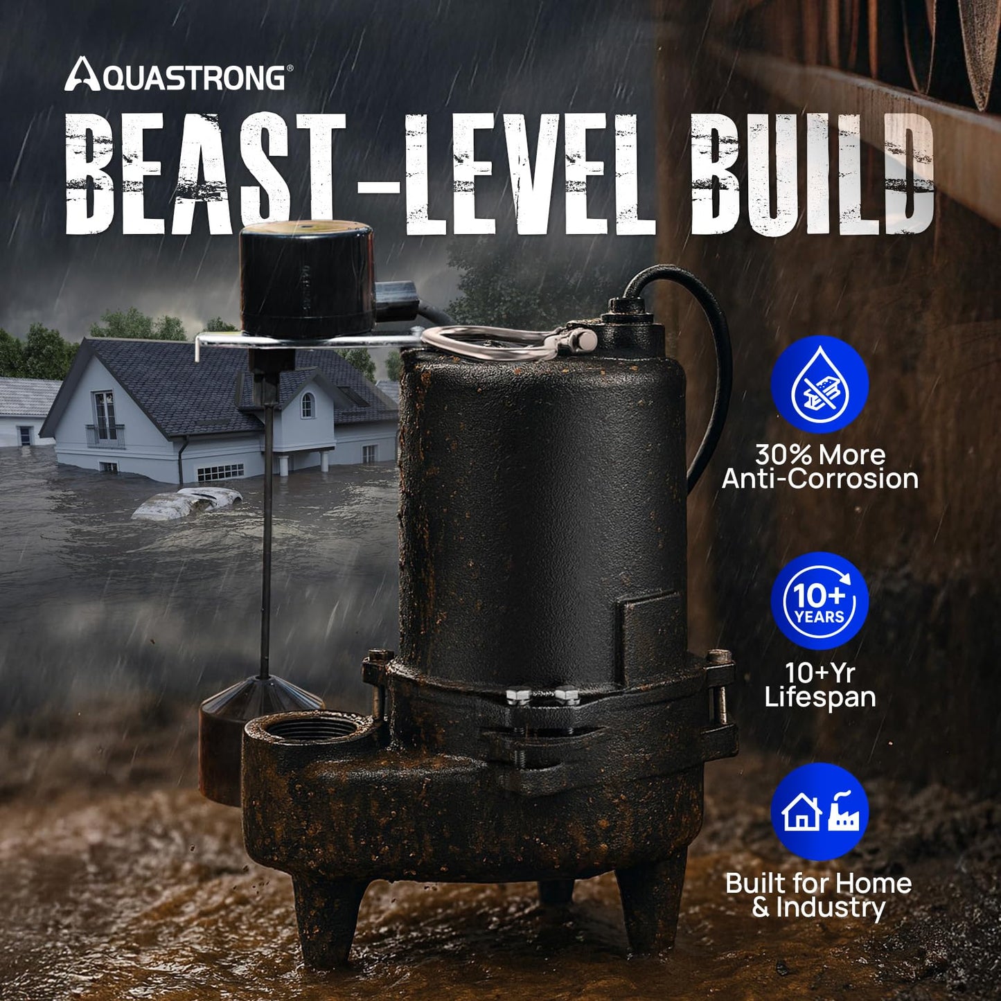 Aquastrong Sewage Grinder Pump, Cast Iron Effluent Pump, Auto Float Switch for Basement Sump Basin and Sewage Well, 2 inch Discharge, 220V 1/2HP 6030GPH No Grinder