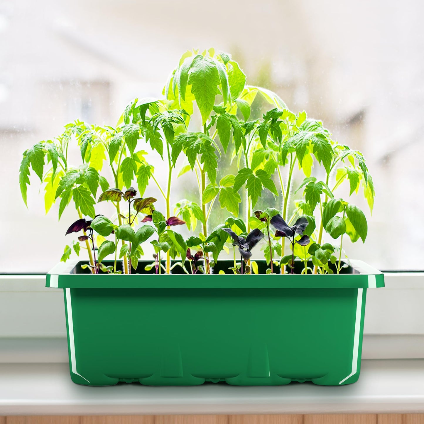 MIXC 10 Packs Seed Starter Tray Seed Starter Kit with Humidity Dome (120 Cells Total Tray) Seed Starting Trays Plant Starter Kit and Base Mini Greenhouse Germination Kit for Seeds Growing Starting
