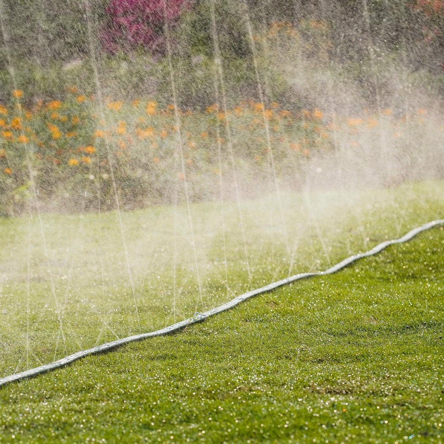 DXront Sprinkler Soaker Hose 50ft for Garden Lawn, Watering Pipe with Holes, High-Efficiency Water-Saving Garden Irrigation System, Drip Hose Sprinkler