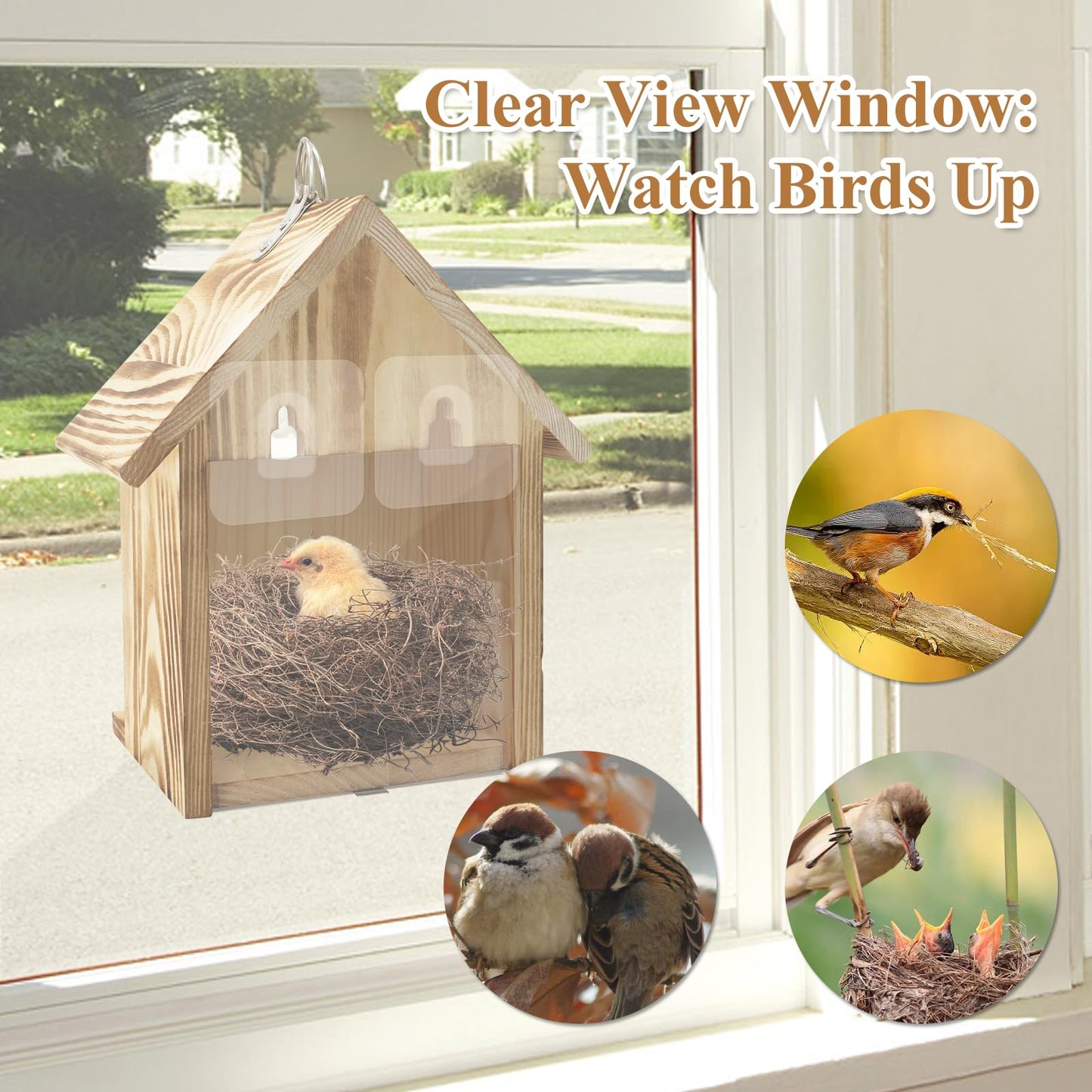 Window Bird Houses for Outside with 2 Powerful Hooks, Hanging Bird House for Viewing Inside, Wooden Hummingbird Houses to Paint for Outdoors, Bird Nesting Box for Bluebird Finch Chickadee
