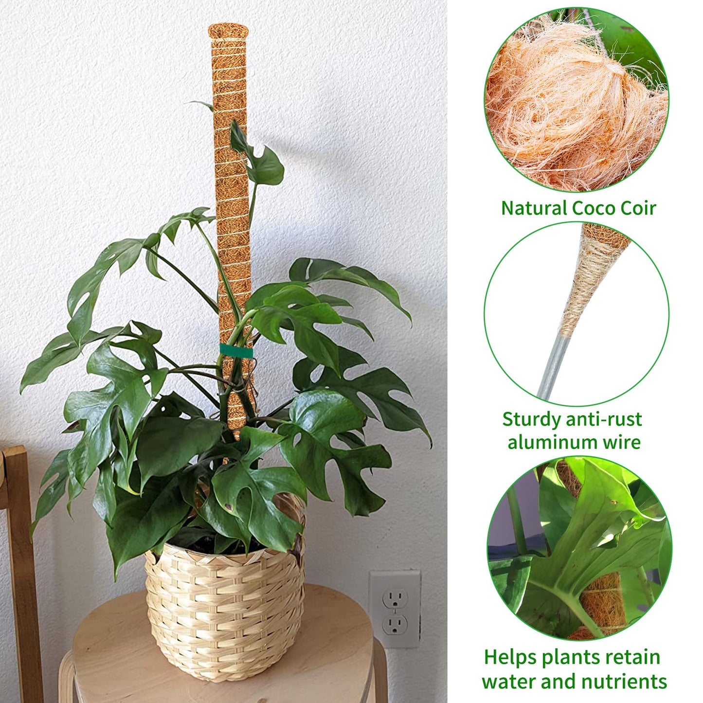 Dimpoo 2 Pack 48 Inch Moss Pole Monstera Plant Support, Coir Moss Poles for Climbing Indoor Plants, Bendable Plant Stake Trellis for Potted Plant, Pothos, Philodendron