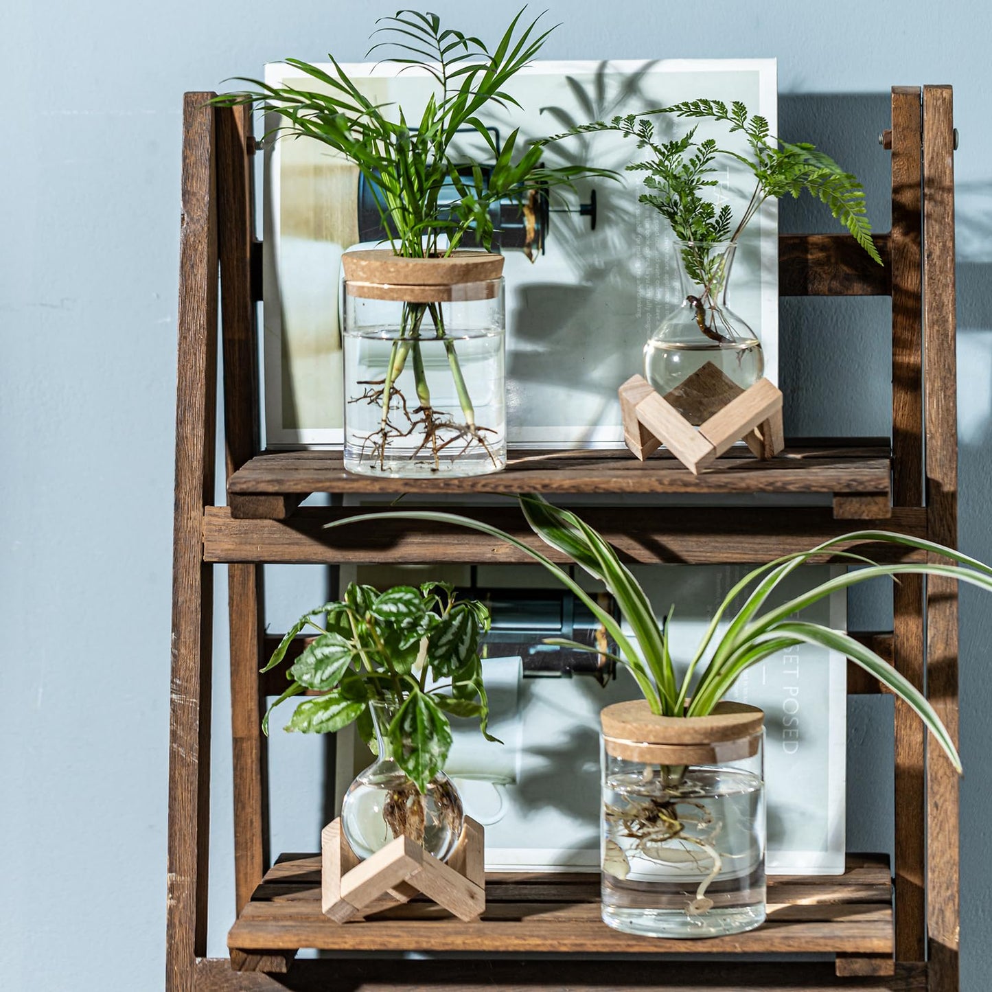 JGKYLDZ Plant Propagation Station, 2 Style Glass Planter Terrarium Set for Hydroponic Plants | Home Office Tabletop Decor, Gardening Gifts for Women, Mom, Plant Lovers (8)