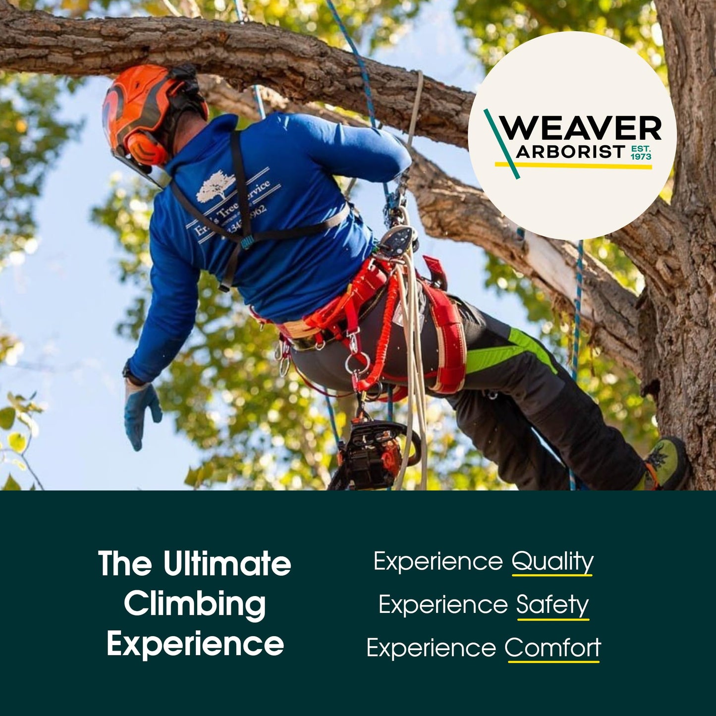 Weaver Arborist Throw Line and Weighted Throw Bag Kit, 150 ft Polyethylene Tree Climbing Rope 16 oz Throw Weight Set, Handcrafted Arborist Equipment