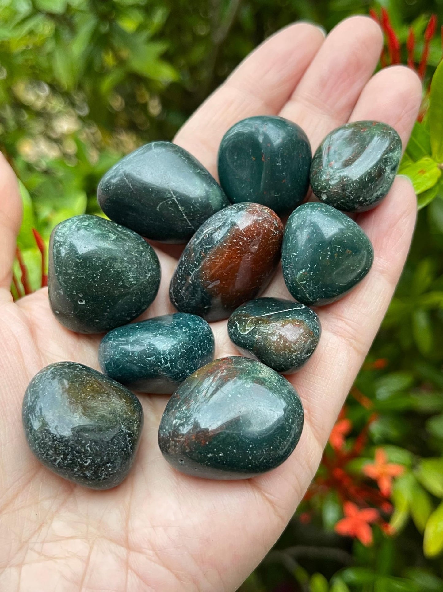 GAF TREASURES 5 Pcs African Bloodstone Tumbled Stones, Polished African Bloodstone Gemstone, African Bloodstone Healing Crystals (African Bloodstone)