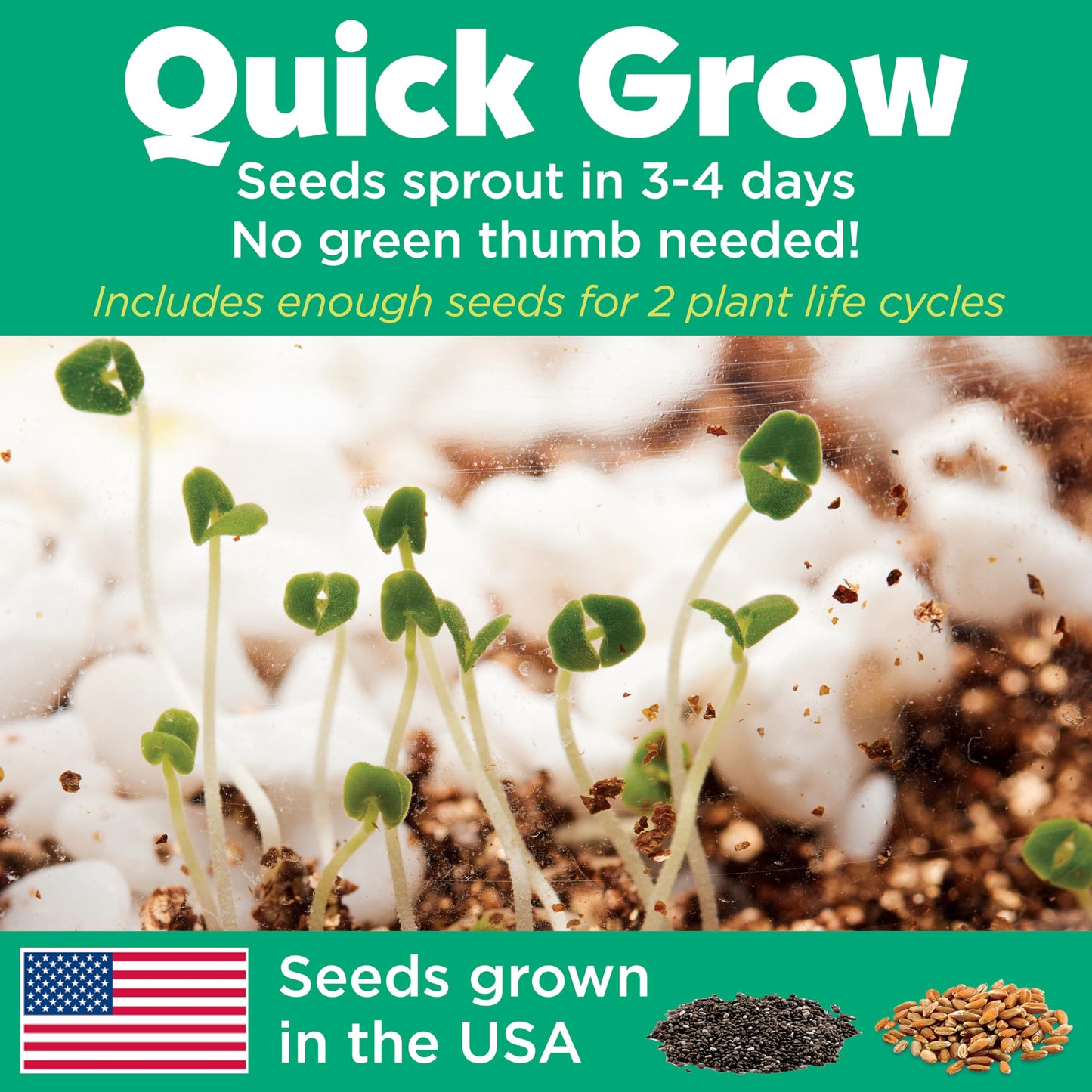 Creativity for Kids Grow 'N Glow Terrarium Kit - Educational Science Kits| Spring Crafts for Kids Gifts for Boys and Girls | Craft and STEM Projects (Ages 6+)