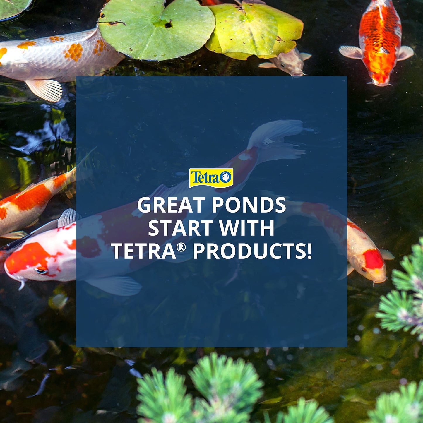 TetraPond Water Garden Pump, Powers Waterfalls/Filters/Fountain Heads,Black,50 to 500 Gallons