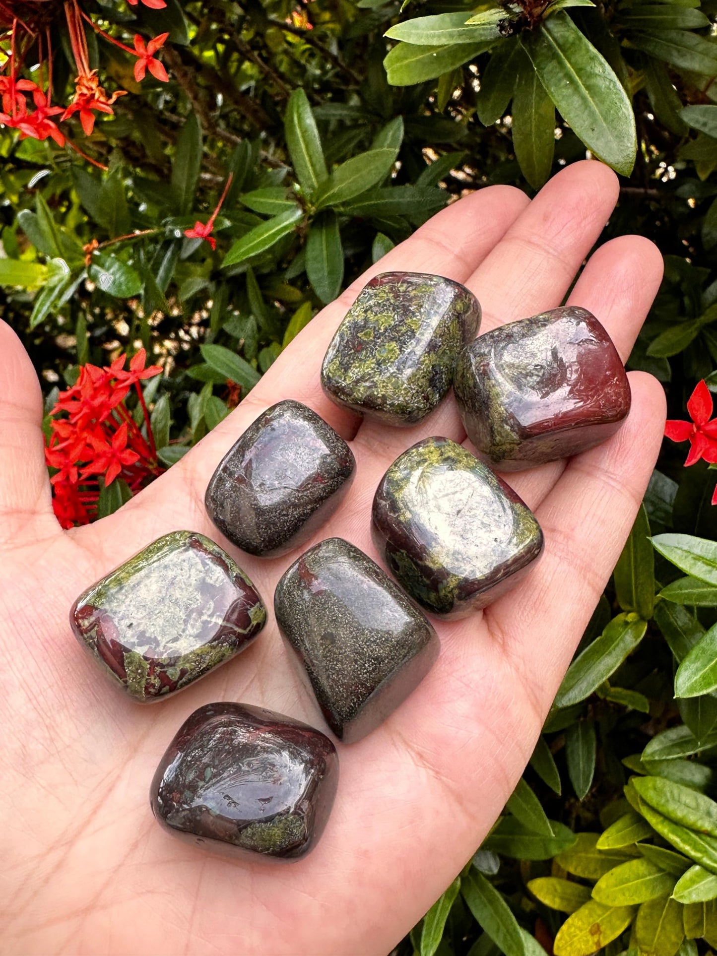 GAF TREASURES 5 Pcs Black Tourmaline Tumbled Stones, Polished Natural Black Tourmaline Gemstone, Black Tourmaline Healing Crystals