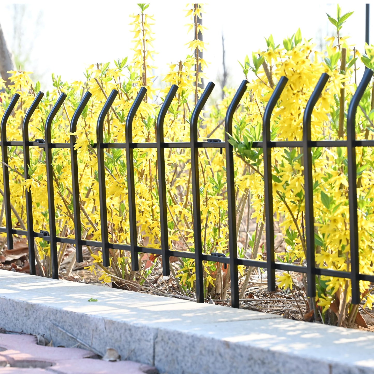 Metal Garden Fence Panels 18'' H x 22'' W, 14.6 Ft Total Length, Heavy Duty Rustproof No-Dig Decorative Fence to Protect Plants & Keep Dogs Out for Yard, Flower Beds & Pathways (8 Panels)