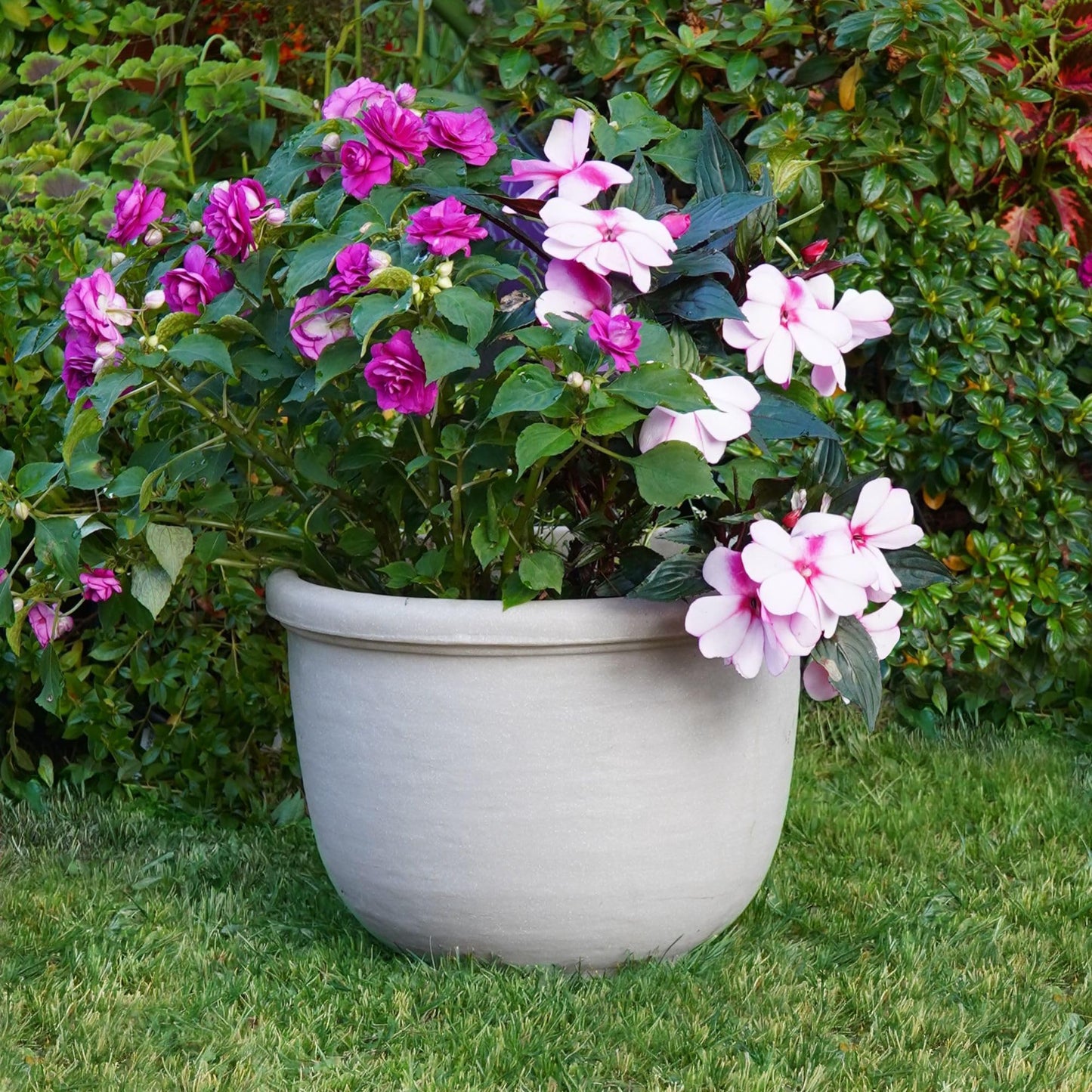 Crescent Garden Agave Planter, Classic Lightweight Resin Planter - UV-Resistant Flower Pots - Indoor & Outdoor Pot for Flowers, Houseplant, Herbs, 21" W x 17" H (Parchment)