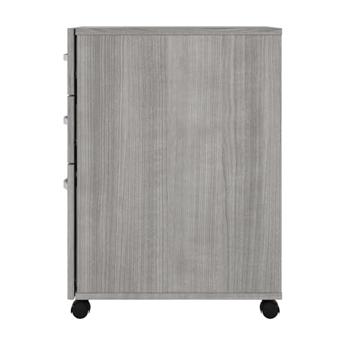 Bush Business Furniture Echo 3 Drawer Mobile File Cabinet in Gray Sand, Portable Document Storage Solution for Home and Professional Office