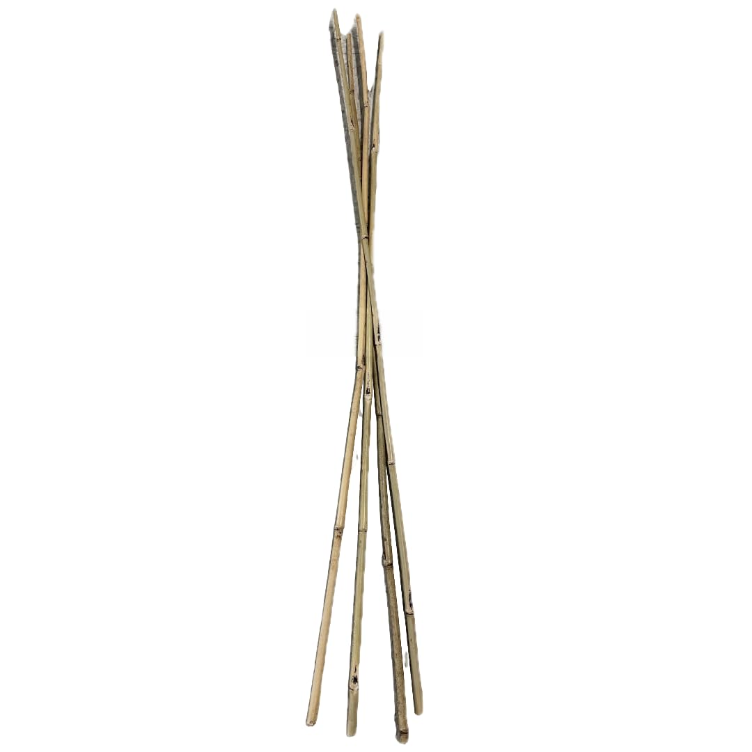 Farm Plastic Supply - Bamboo Garden Stakes - Bambo Sticks, Bamboo Plant Stakes for Outdoor Plants, Plant Support Stakes for Indoor Plants (7 Foot, 10)