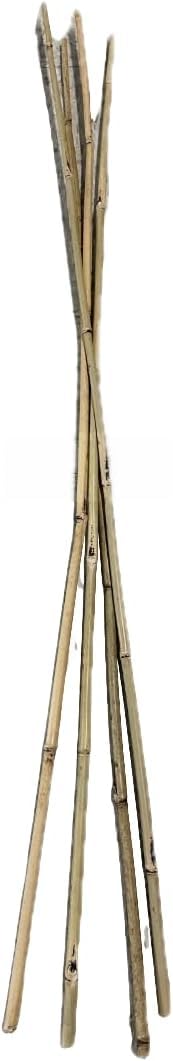 Farm Plastic Supply - Bamboo Garden Stakes - Bambo Sticks, Bamboo Plant Stakes for Outdoor Plants, Plant Support Stakes for Indoor Plants (4 Foot, 10)