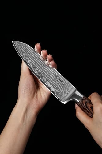 Wakoli EDIB 3-Piece Damascus Kitchen Knife Set in Wooden Gift Box, Razor Sharp Genuine Damascus Steel (VG10 Core), Includes Santoku, Small Santoku and Paring Knife, Ergonomic Pakkawood Handle