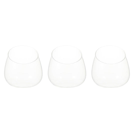 HOMOCONO 3pcs Slant Cut Glass Micro Landscape Bottle Ecological Terrarium Vase for Succulent Plants Desktop Tabletop Decoration