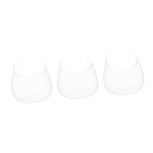 Healeved 3pcs Slant Cut Glass Bottle Micro Landscape Succulent Vase Set, Ecological Desk Terrarium Decoration for Home and Office