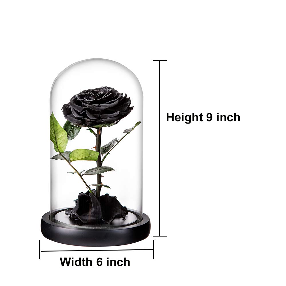 Preserved Roses Black Roses Handmade Real Rose in Glass Dome, Preserved Roses Never Withered Romantic Gifts for Her, Mother's Day, Birthday Gifts for Women (9 inch, Black)