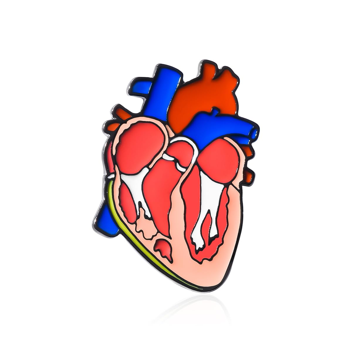 Dr's gift Anatomical Heart Enamel Brooch Cardiac Design Lapel Pin Backpack Hat Badge Medical Jewelry for Cardiologists Nurses Biology Enthusiasts