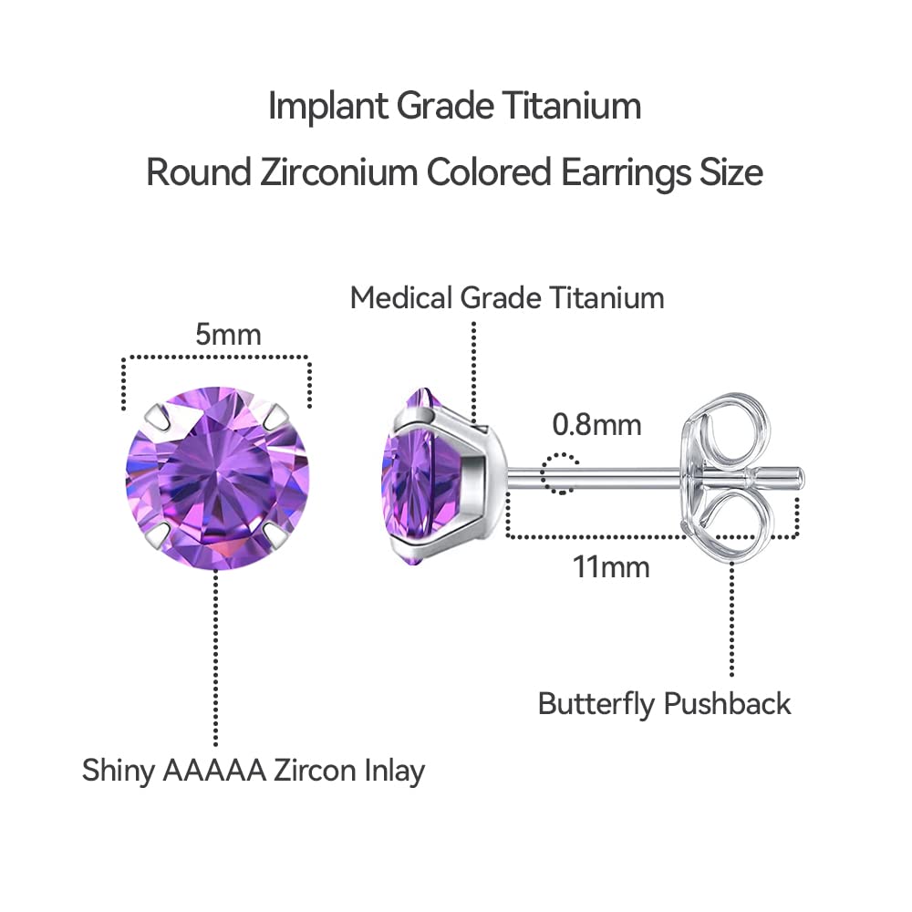 Limerencia Hypoallergenic G23 Titanium Earrings, F136 Implant Grade Pure Titanium, Suitable for Sensitive Ears with Birthstone Crystals CZ Simulated Diamonds (Purple)