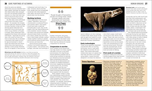 The History Book (DK Big Ideas)