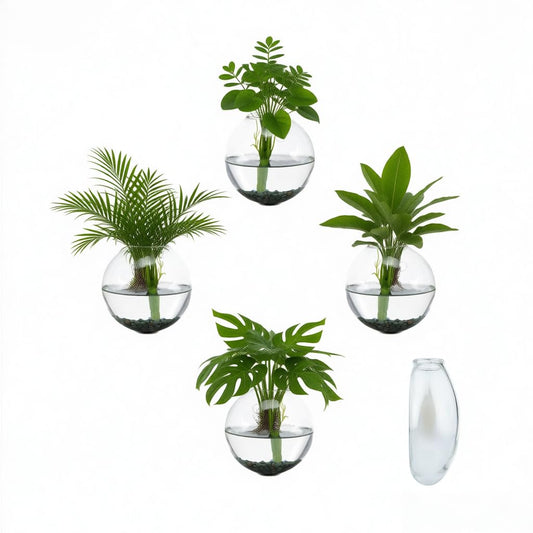 OQUQO 4 pcs Glass Wall Hanging Planter, Oval Terrarium Vase, Propagation Station for Hydroponics, Indoor Plants, Home Office Decor (Medium)