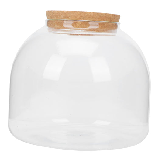 Milisten 1set Landscape Glass Terrarium Bottle Creative Moss Plant Holder for Decor for Hydroponics Easy to Stones and Plants