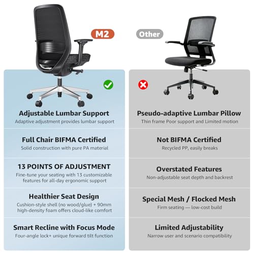 ErgoSift Ergonomic Office Chair - High-Back Mesh Desk Chair with Adjustable Lumbar Support 4D Armrests for Long Hours Sitting Black