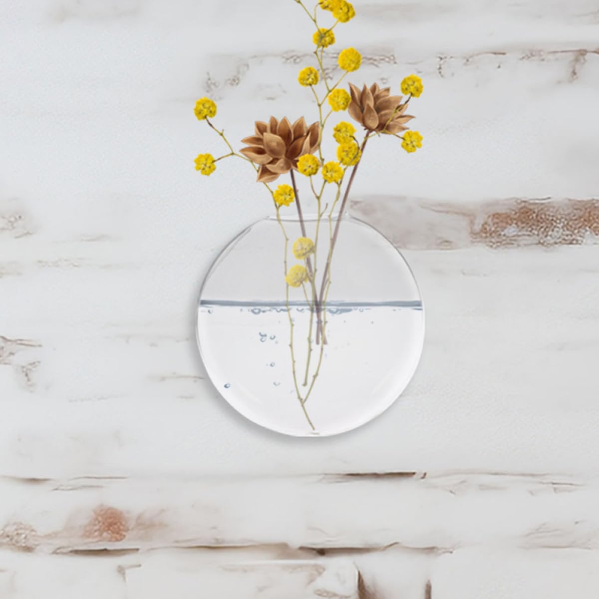 NUOBESTY 2pcs Wall Hanging Glass Planter Vase Set, Hydroponic Terrarium Container for Indoor Plants, Decorative Glass Flower Vases for Home and Office Wall Décor
