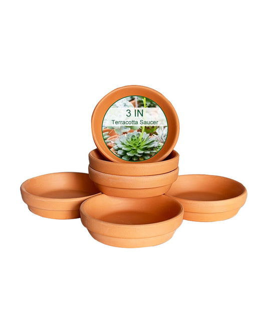 3.5 Inch Terracotta Plant Saucer - 6 Pcs Mini Terra Cotta Saucer for Indoor & Outdoor Plants, Plant Drip Trays Perfect for 2 Inch 2.5 Inch Flower Pots